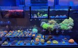 IMG_1331.jpeg