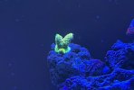 IMG_1696.jpeg