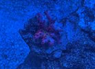 IMG_0810.jpeg