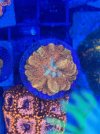 IMG_1515.jpeg