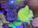 IMG_5992.jpeg