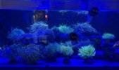 IMG_0921.jpeg