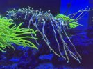 IMG_2110.jpeg