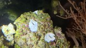 IMG_8048.jpeg