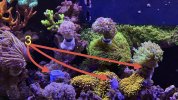 IMG_8383.jpeg