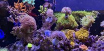 IMG_8435.jpeg