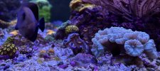 IMG_8393.jpeg