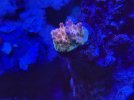 IMG_2199.jpeg