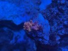 IMG_0842.jpeg
