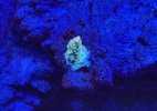IMG_2194.jpeg