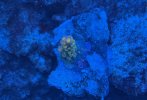 IMG_0943.jpeg