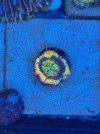 IMG_5221.jpeg