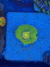 IMG_5222.jpeg
