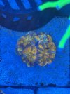 IMG_5218.jpeg