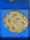 IMG_5226.jpeg