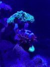 IMG_3722.jpeg