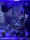 IMG_3712.jpeg
