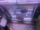 IMG_2644.jpeg
