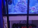 20250728_163020.jpg