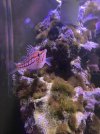 IMG_6177.jpeg