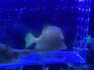 IMG_5837.jpeg