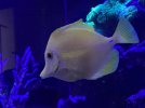 IMG_6171.jpeg