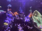 IMG_6175.jpeg