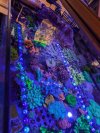 PXL_20250801_203340059.jpg