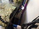 IMG_2495.jpeg
