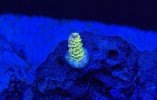 IMG_2519.jpeg