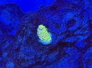 IMG_1883.jpeg