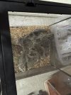 IMG_1157.jpeg