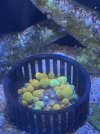 IMG_3687.jpeg