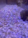 IMG_3811.jpeg