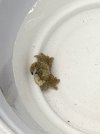 IMG_9459.jpeg