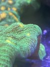 IMG_6014.jpeg