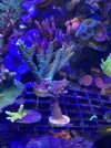 IMG_3446.jpeg