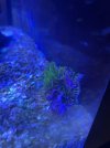 IMG_3833.jpeg