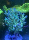 IMG_6343.jpeg