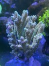 IMG_6347.jpeg