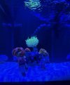 IMG_1057.jpeg