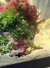 IMG_3480.jpeg
