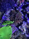 IMG_2985.jpeg
