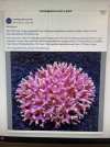 IMG_3002.jpeg
