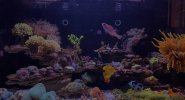 IMG_8554.jpeg