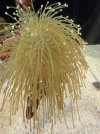IMG_1074.jpeg