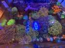 IMG_6116.jpeg