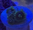 IMG_1083.jpeg