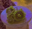 IMG_1083.jpeg