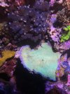 IMG_3172.jpeg